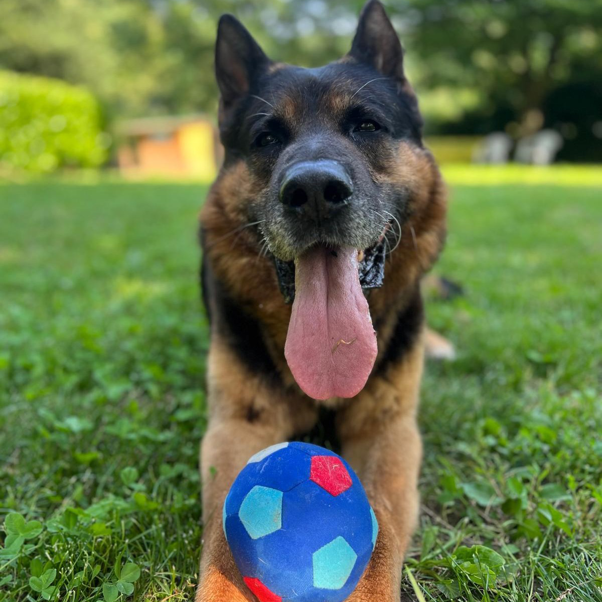 Argo